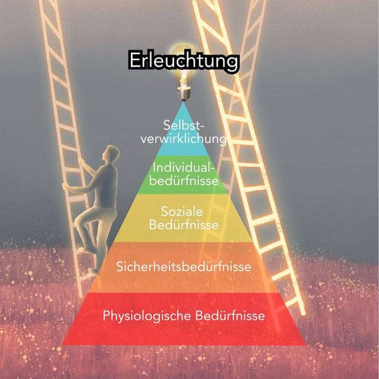 Reality Upgrade Mentoring